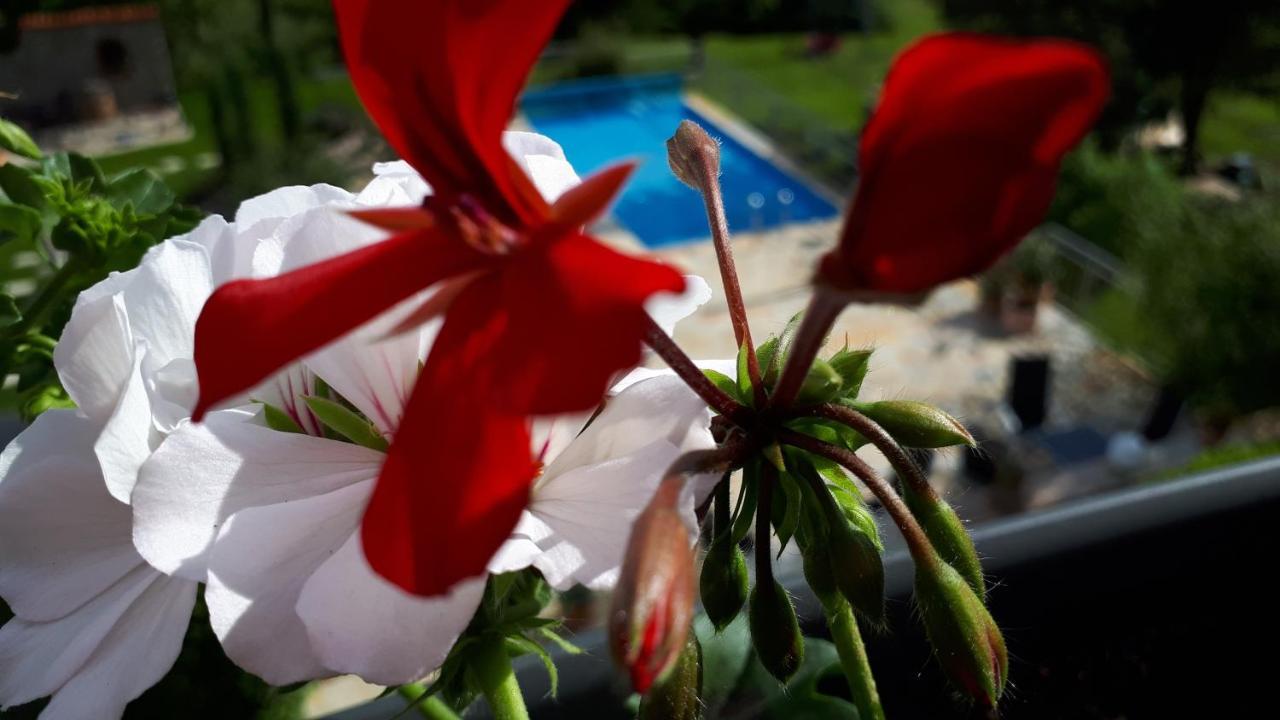 Ferienwohnung Pension Am Weinberg Mainstockheim Exteriér fotografie