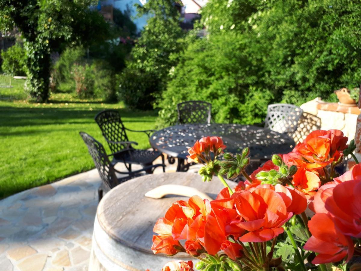Ferienwohnung Pension Am Weinberg Mainstockheim Exteriér fotografie